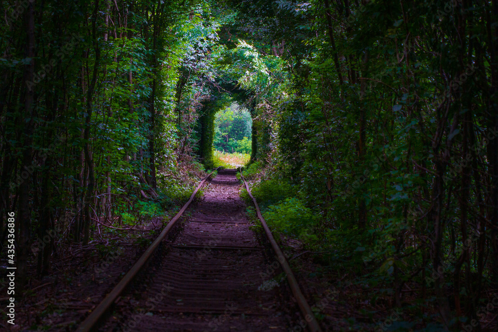 Obraz premium Love tunnel in summer