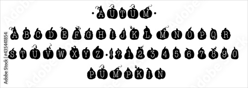 Font, letters in the shape of a pumpkin. For autumn inscriptions and holidays. Isolated on a black background, for plotter cutting and stickers.