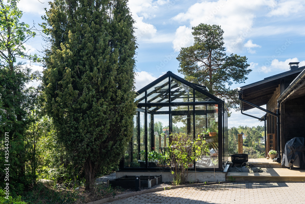 Greenhouse glass house in the garden near the villa. Landscape garden design. Greenhouse for growing plant seedlings. In the yard there are high decorative thujas. Greenhouse glass house in the garden near the villa. Landscape garden design. Greenhouse for growing plant seedlings. In the yard there are high decorative thujas.
