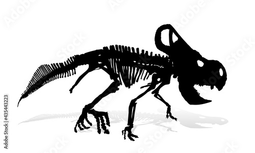 The Skeleton of ancient big dinosaur. © designer_an