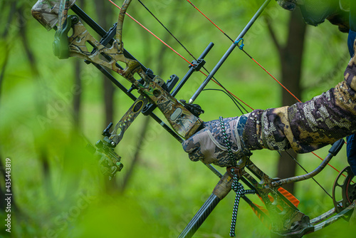 Archers silhouettes on forest background
