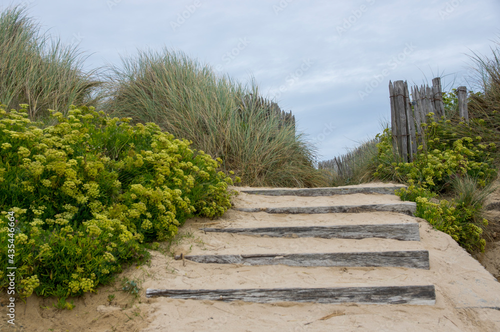 Escalier aménagé dans le sable d'une dune à la plage