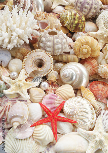 Many tropical colorful seashells, corals and starfishes mixed with pearls 
