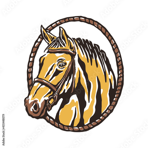 horse head illustration