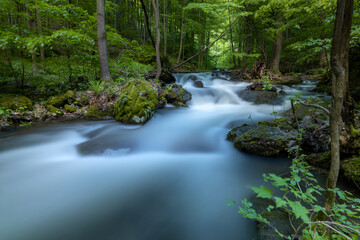 Keuken achterwand Bosrivier Wilde boswaterval in Slowakije  © andreaobzerova