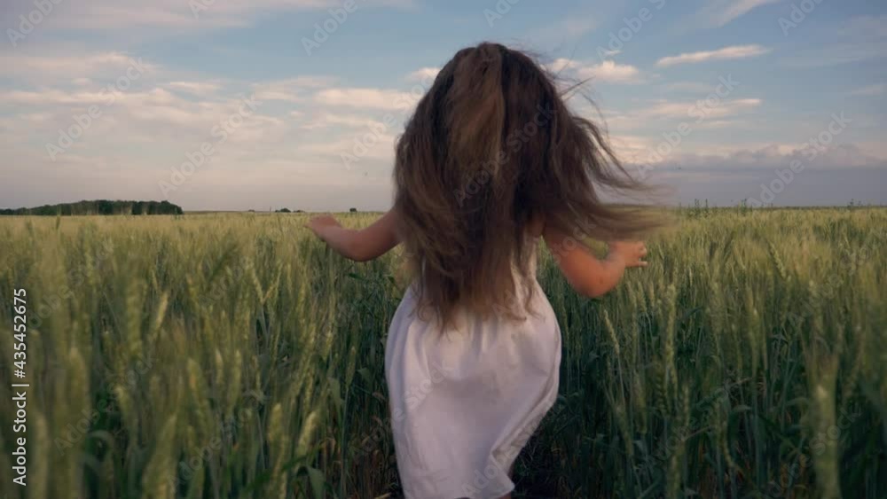 Happy little girl runs through a green wheat field with outstretched arms. A little girl runs towards her dream. Child have fun in the park. Happy child in the park. A chidhood dream. Wheat field Happy little girl runs through a green wheat field with outstretched arms. A little girl runs towards her dream. Child have fun in the park. Happy child in the park. A chidhood dream. Wheat field