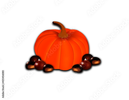 live autumn pumpkin and chestnuts!
