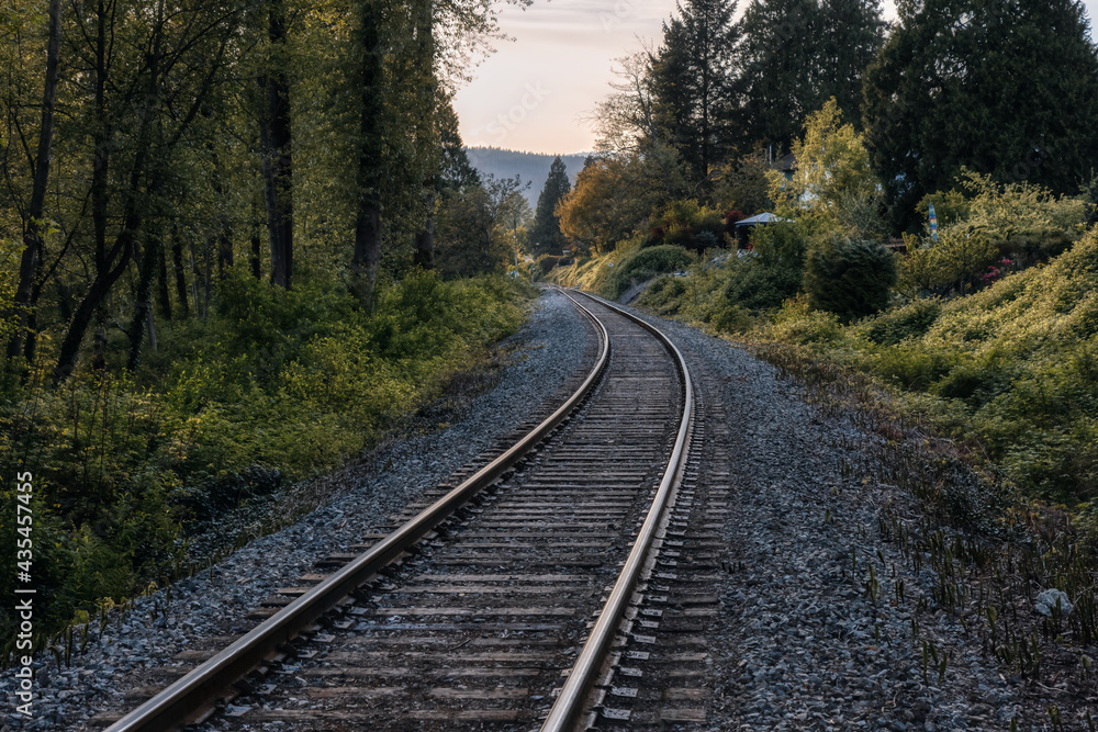 Railroad Tracks surrounded by green trees in a modern suburban city. Taken in Port Moody, Vancouver, British Columbia, Canada. Moody render. Railroad Tracks surrounded by green trees in a modern suburban city. Taken in Port Moody, Vancouver, British Columbia, Canada. Moody render.