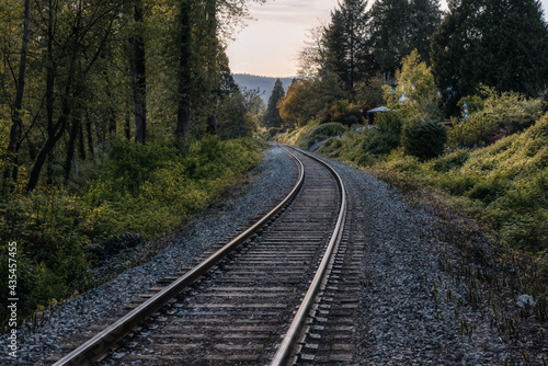 Railroad Tracks surrounded by green trees in a modern suburban city. Taken in Port Moody, Vancouver, British Columbia, Canada. Moody render.