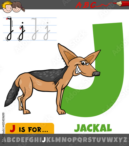 letter J from alphabet with cartoon jackal animal character