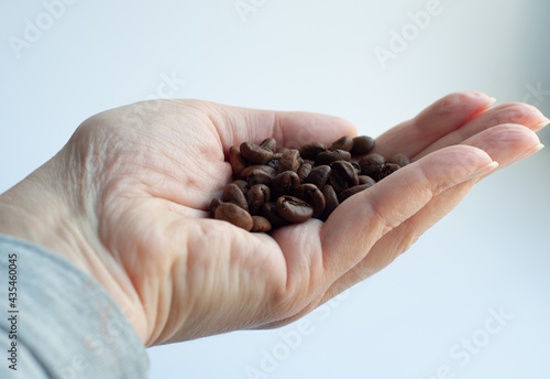 Young woman hands holding coffee beans on white background. fresh coffee beans in the palm of your hand. life style.
