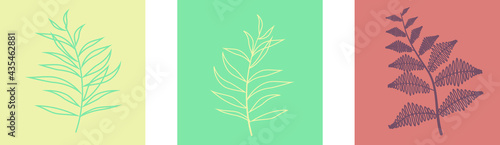 Summer plants for decoration in vector