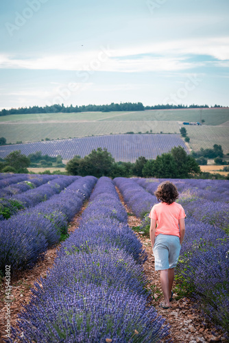 Child walking through lavender fields © almoderna