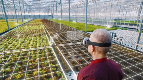 Futuristic agriculture technology of harvest growing control in greenhouse. Worker monitors progress via smart VR headset. Greenery data collection and watering by artificial intelligence. Agro crops