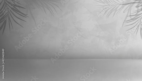 Minimal Empty studio Room with palm leaves on Gray Cement Wall Texture Background with Light and Shadow on Concrete floor. Vector 3D backdrop, Gallery with Copy space for holizon banner photo