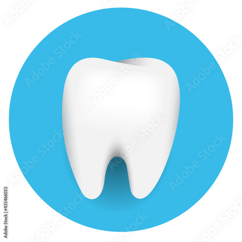 White healthy tooth on a blue round background. Realistic vector illustration.
