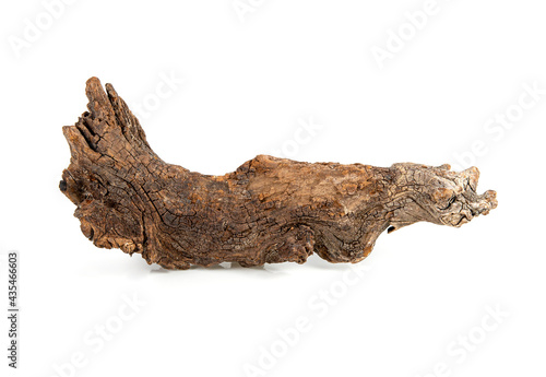 dry branches of tree isolated on white background