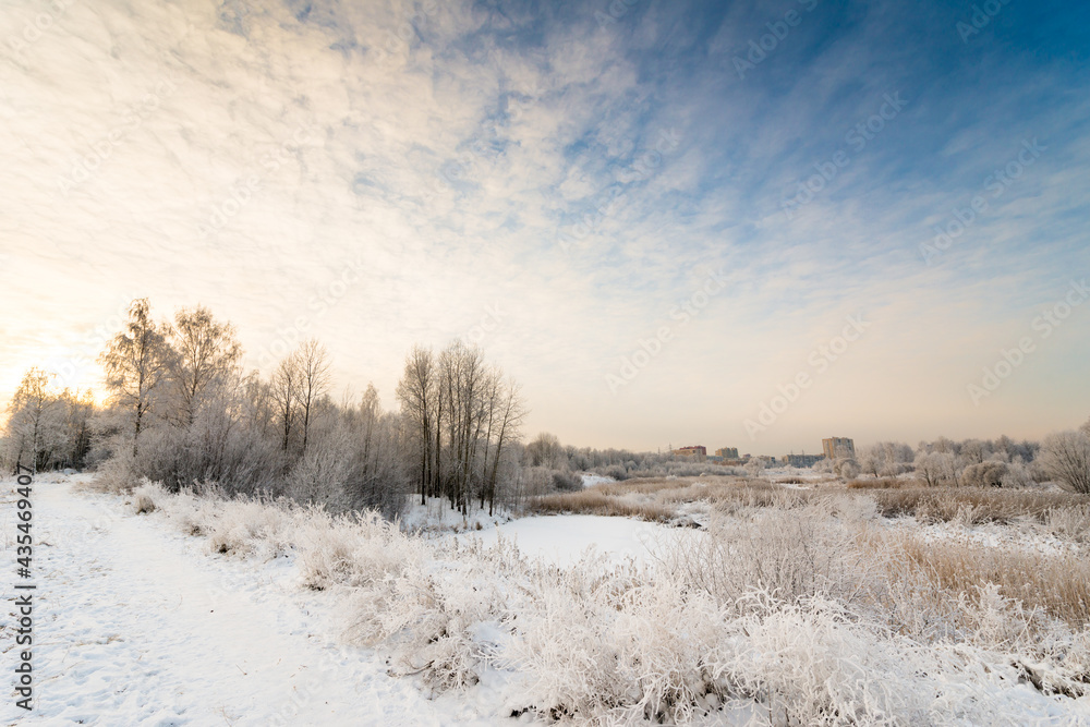 Winter morning in the city. View from the path through the woods