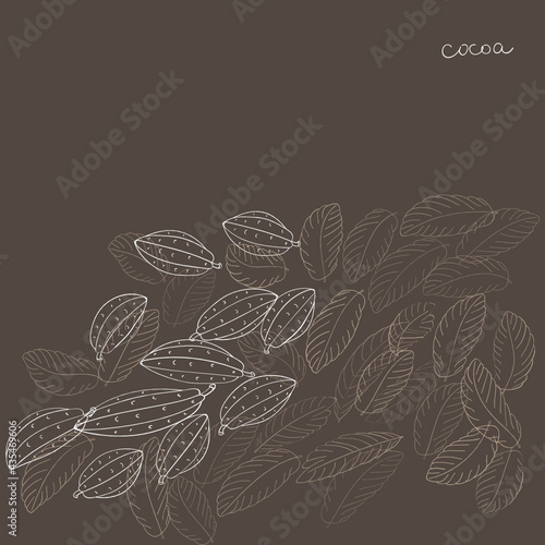 cocoa fruit and foliage vector background