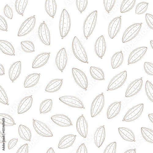 cocoa fruit vector seamless pattern