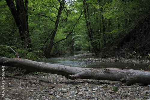 Deserted river bed in the forest near the city of Novorossiysk
