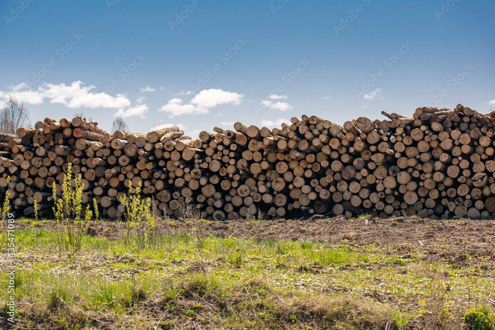 Warehouse-storage of logs in the open air behind a fence.