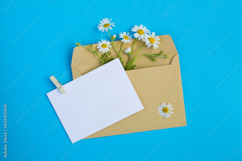 Top view of empty white paper for text and chamomile on the blue background. Copy space. Top view of empty white paper for text and chamomile on the blue background. Copy space.