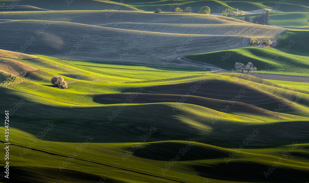 Obraz premium Washington Palouse. A spectacular view from Steptoe Butte State Park of the surrounding farmland and rolling hills