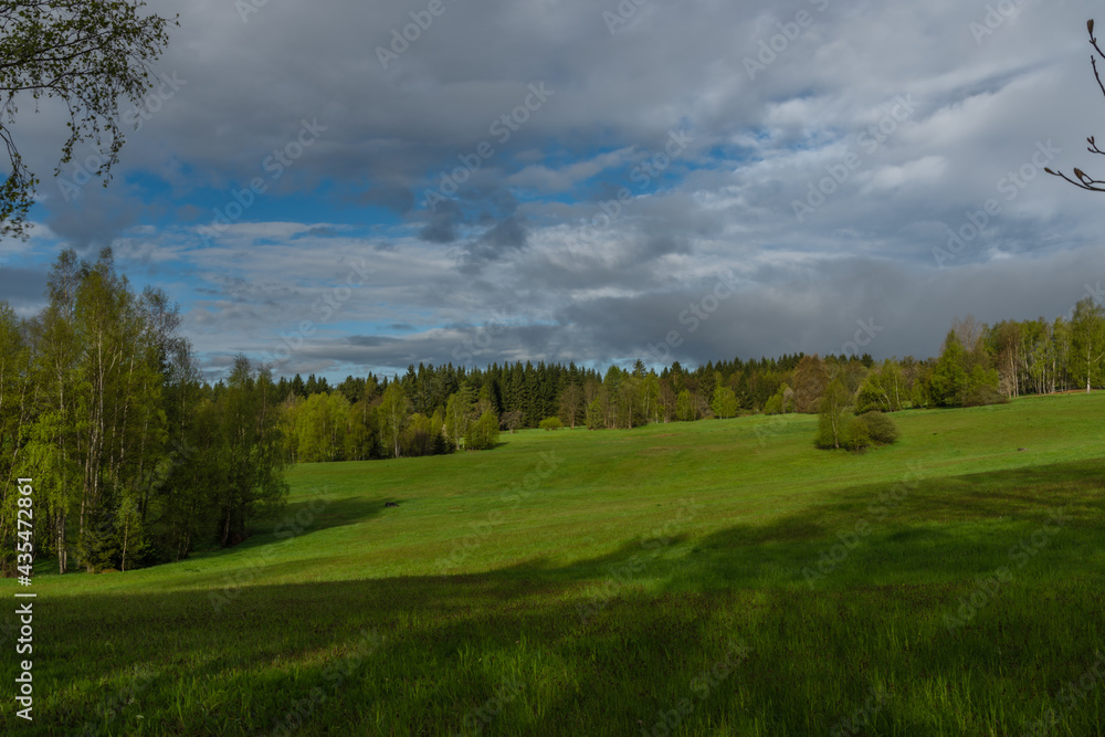 Morning near Nejdek town with fresh green pasture land after rain Morning near Nejdek town with fresh green pasture land after rain