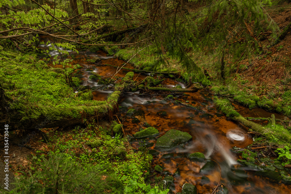 Skrivan color creek in Krusne mountains in spring morning after rain Skrivan color creek in Krusne mountains in spring morning after rain