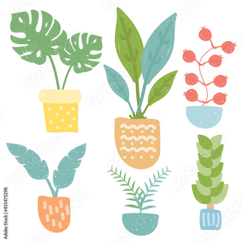 Plants in pot. Hand drawn style. Tree home decor icons. Vector illustration.