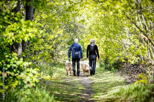 a couple is walking with their dogs in a nature park