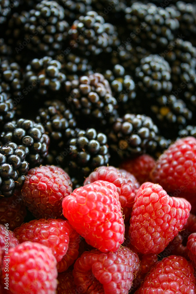 Raspberries and blackberries. Raspberries vs blackberries. Raspberry. Blackberry. Mix berries. Fruits. Fruit. Raspberries and blackberries. Raspberries vs blackberries. Raspberry. Blackberry. Mix berries. Fruits. Fruit.