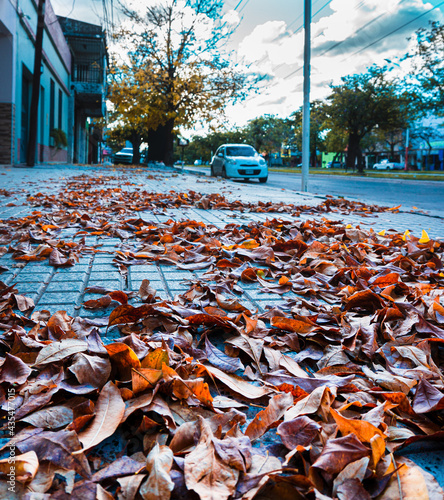 Photos Tarde de otoño en la ciudad.