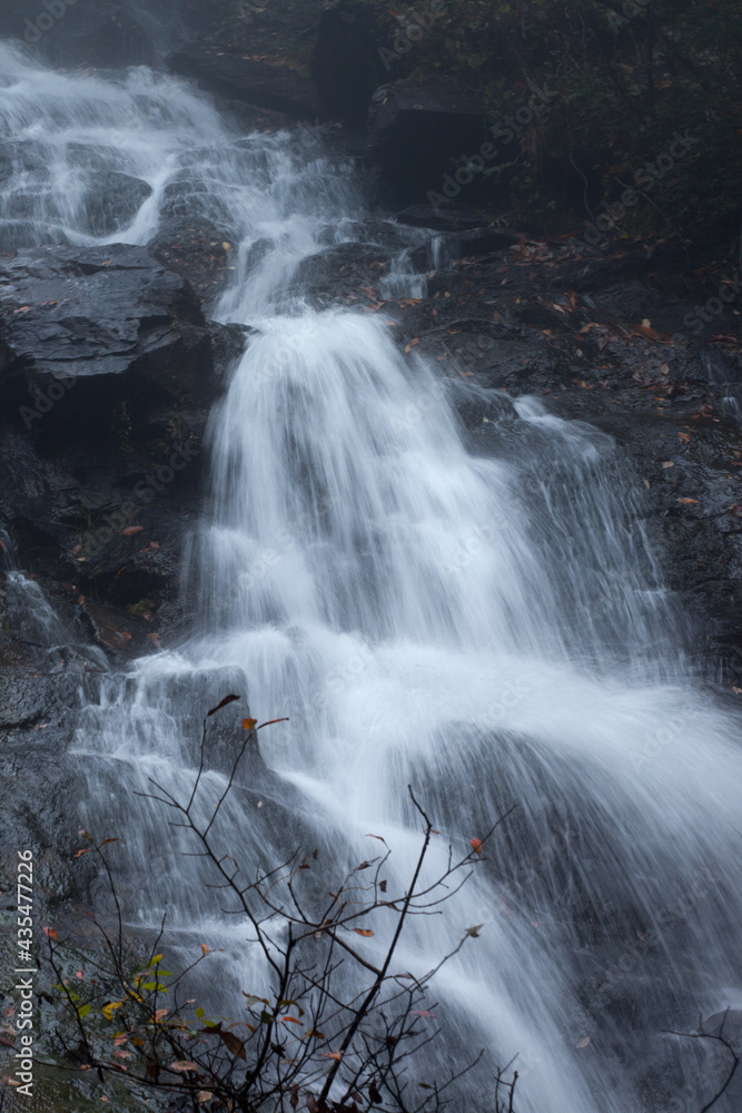 Obraz premium Cascading stream in nature