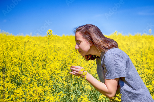 Quelitätskontrolle des Rapses in voller Blüte photo