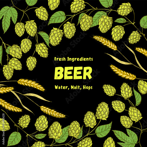 Hops and malt. Beer ingredients vector illustration. Vintage design. Brewery design template. Beer hop illustration. Hand drawn design.