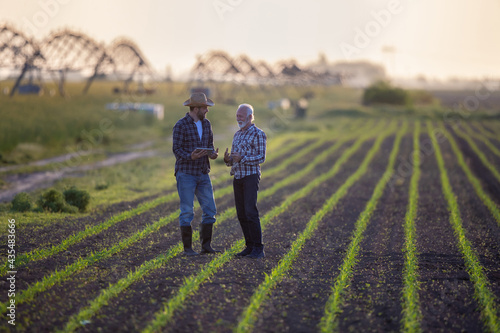Two farmers standing in corn field talking.