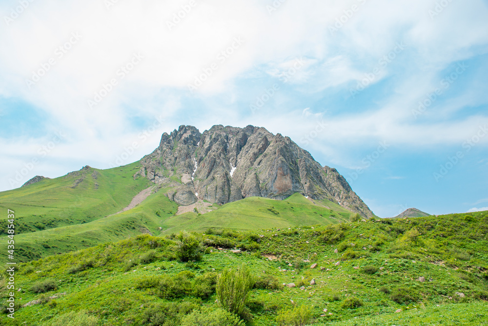 Fototapeta premium mountain landscape in the summer