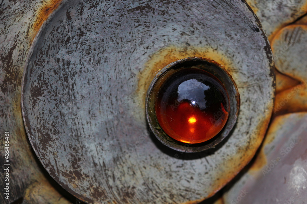 close up of a glass eye in a metal frame
