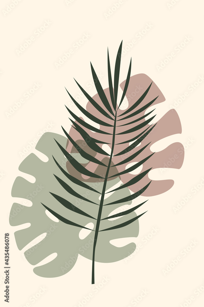 Palm leaf monstera rainforest leaf pattern background. Palm leaf monstera rainforest leaf pattern background.