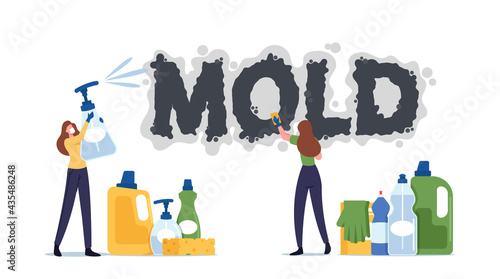 Tiny Female Characters Inspect Walls and Spraying Pesticide on Damaged Surface With Sprayer and Cleaning with Sponge