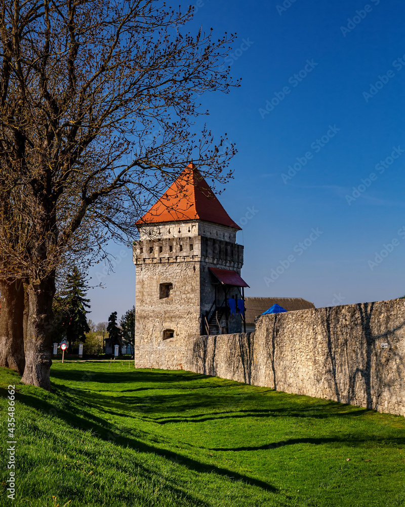 Naklejka premium Skalatsy castle in Skalat town, Ternopil region, Ukraine. Trevel destination and castles in Ukraine