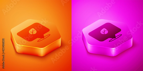 Isometric Vegan food diet icon isolated Isometric background. Organic, bio, eco symbol. Vegan, no meat, lactose free, healthy, fresh and nonviolent food. Hexagon button. Vector