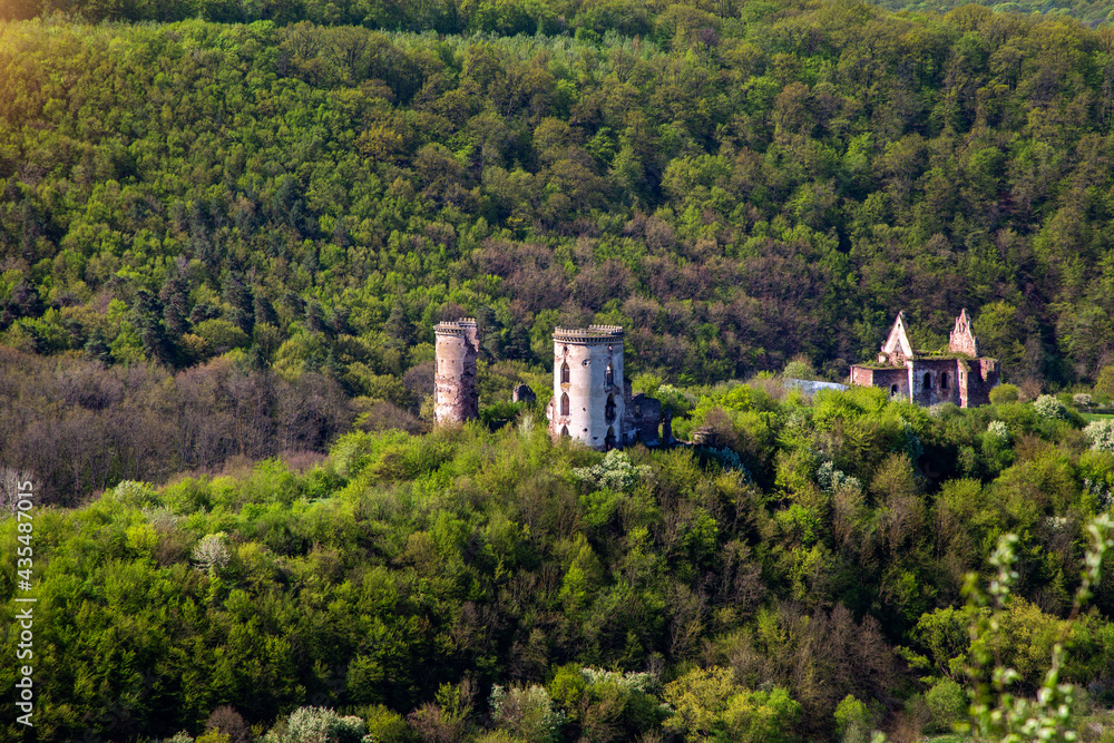 The ruins of Chervonohrad Castle in the village of nurkiv. Ukraine