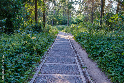 tourism pathway in the summer green park