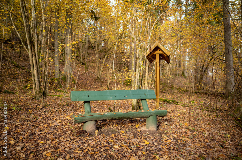 yellow warn autumn day in old forest park yellow warn autumn day in old forest park