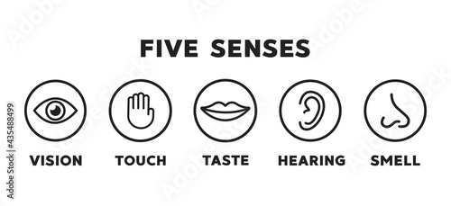 Five senses vector icons set. vision, hearing, touch, taste, smell