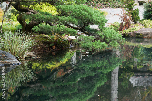 Colored Bushes reflected in a flowing stream