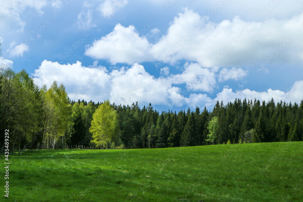 The beautiful pastures in the Šumava national park in Czech Republic with a fresh green grass during the beautiful sunny day. 